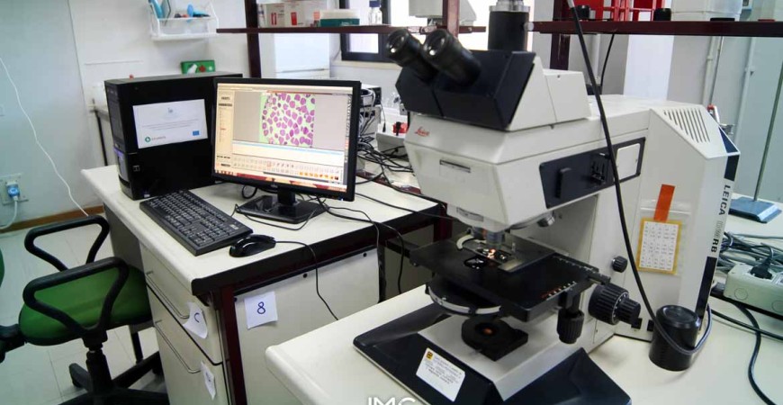 Laboratorio microscopia