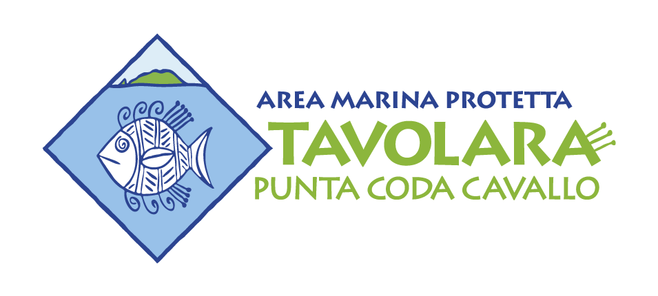 Logo AMP Tavolara